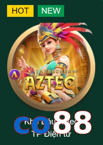 co88